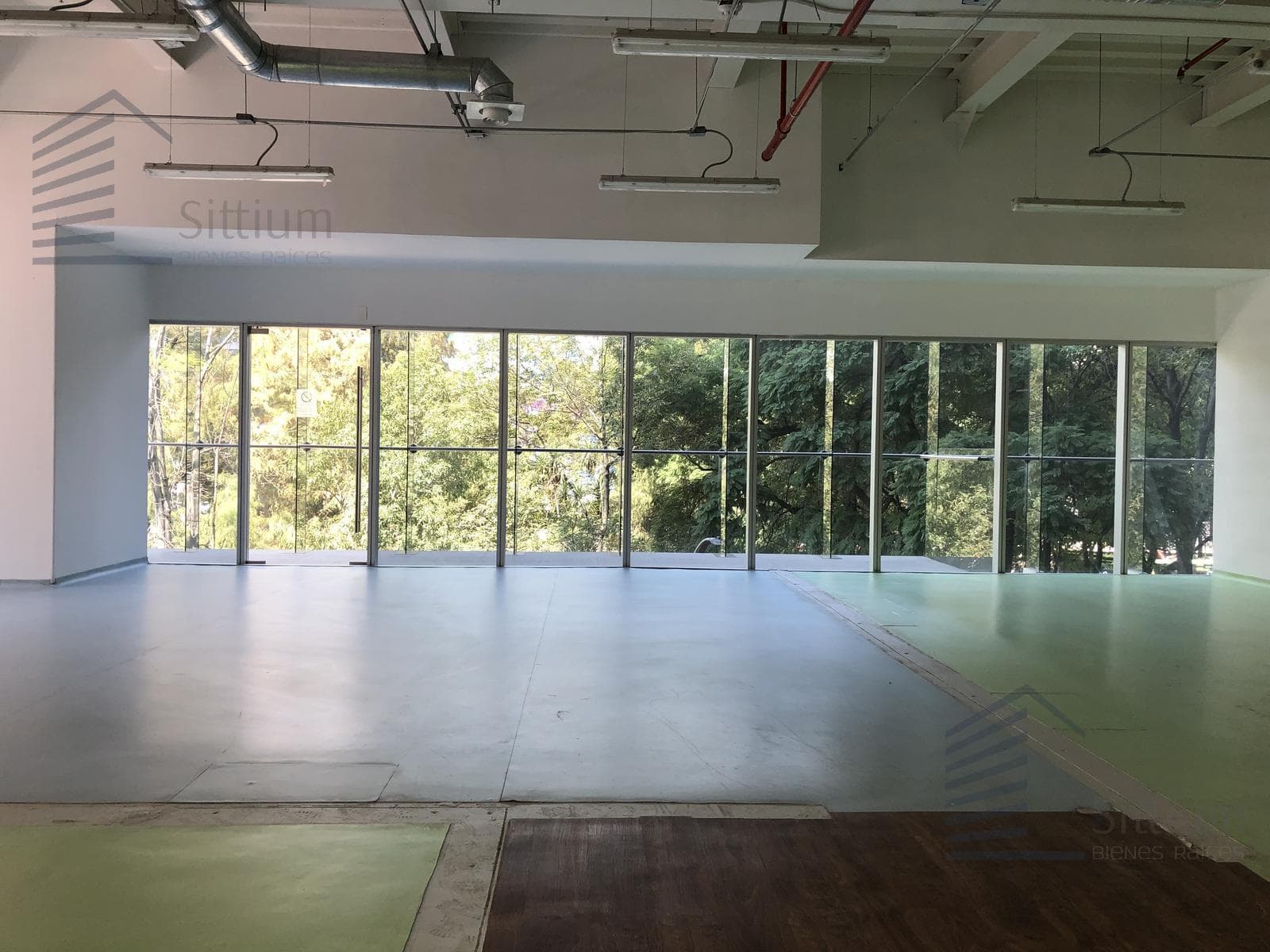 Office for Rent - Reforma, 3rd Floor - 501 m2