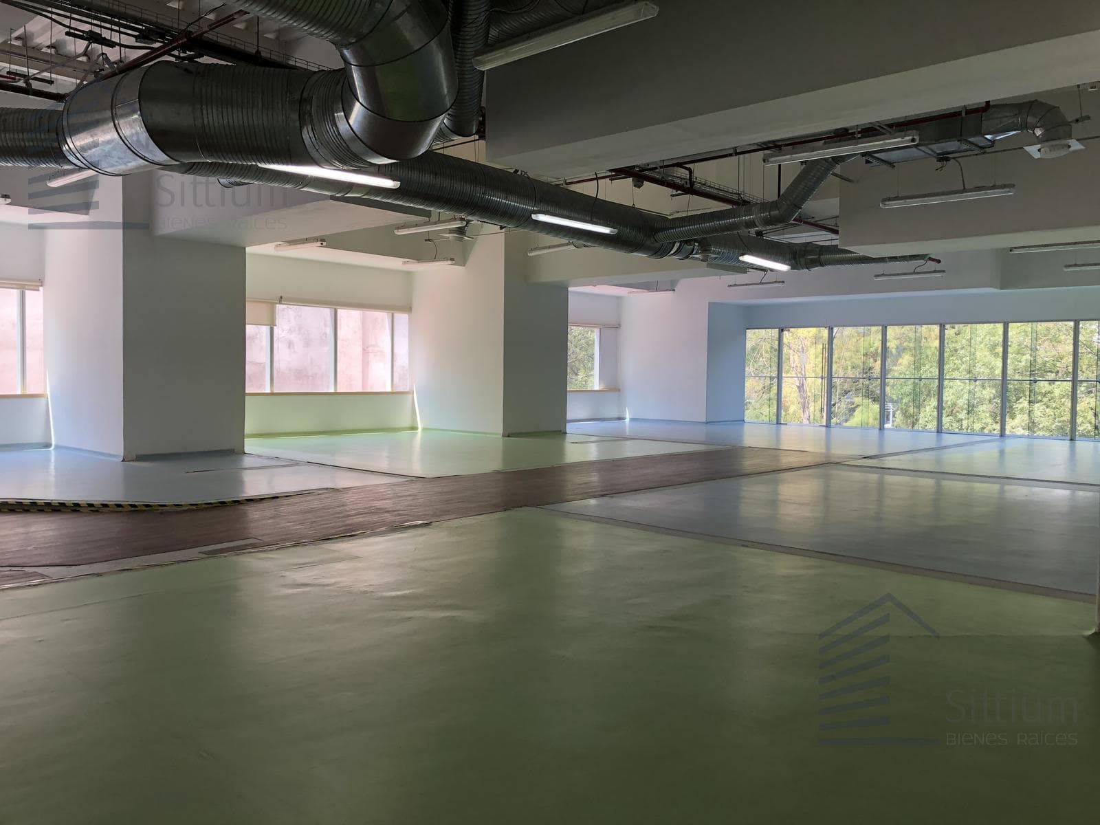 Office for Rent - Reforma, 3rd Floor - 501 m2