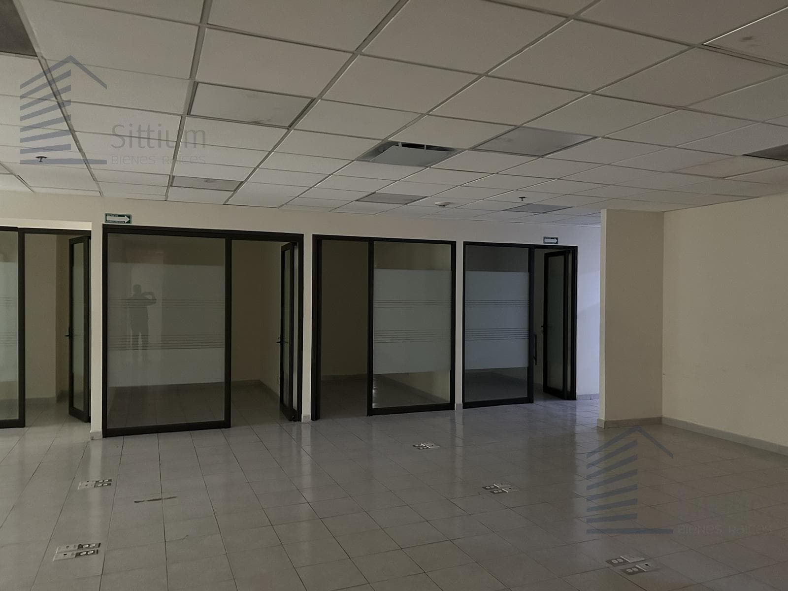 Office for Rent - Insurgentes Sur - 2nd Floor - 218 m2