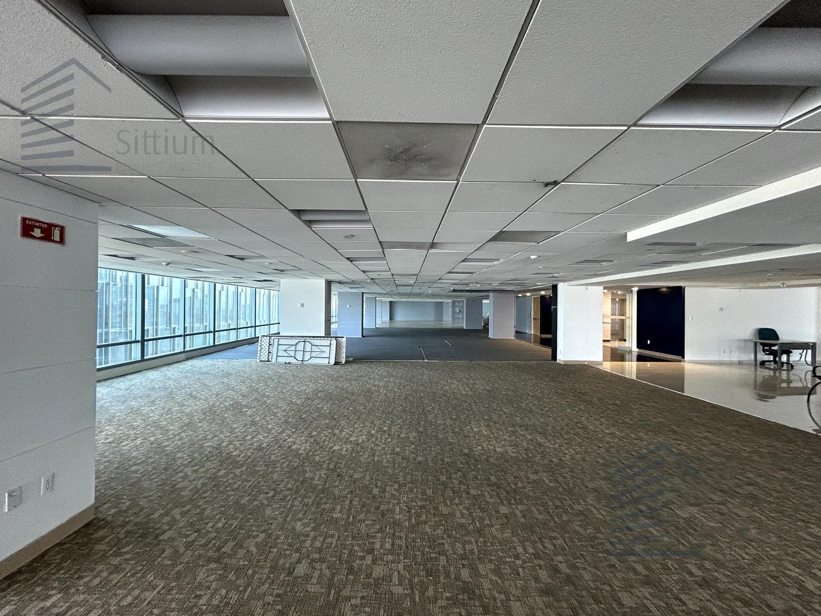 Office for Rent - Paseo de la Reforma, 16th Floor - 1,430 m2