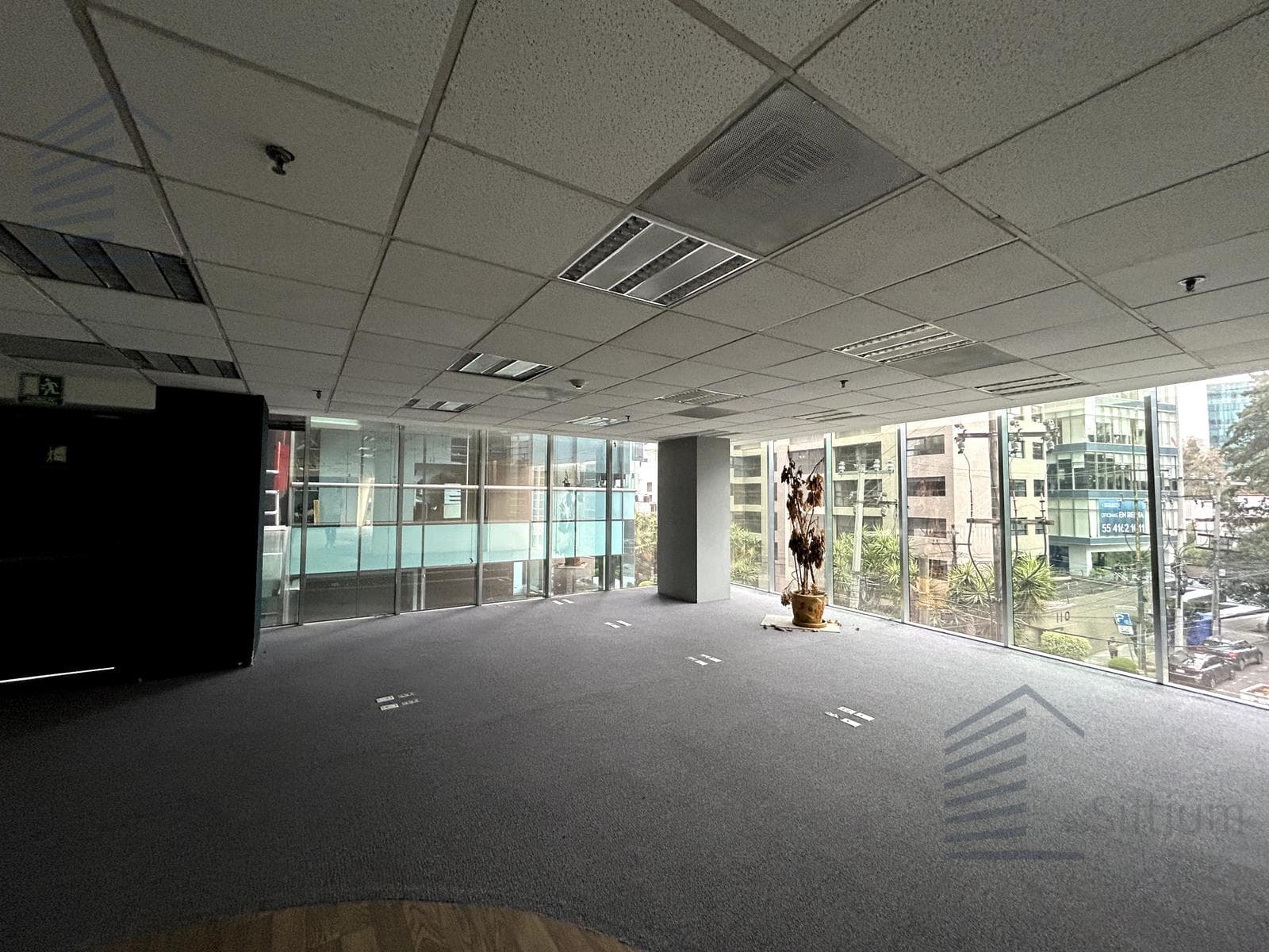 Office for Rent - Manuel Ávila Camacho - 2nd Floor - 562 m2
