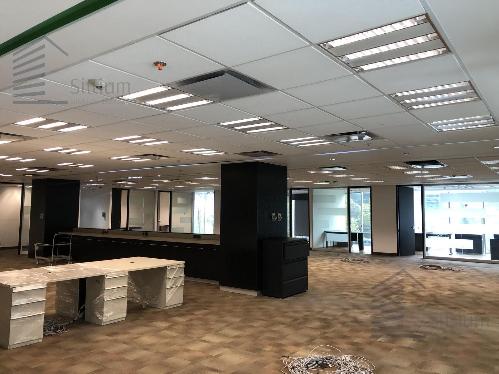 Office for Rent - Lomas de Chapultepec - 1st Floor - 559 m²