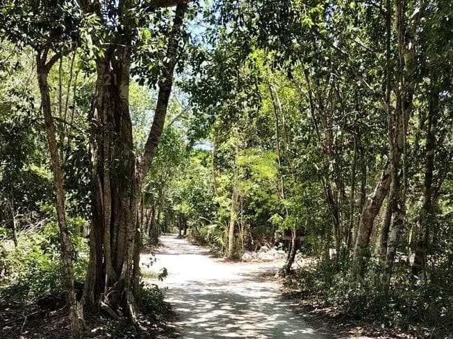 House for Sale in La Selva on a 1,900 m² Lot in Akumal P4595