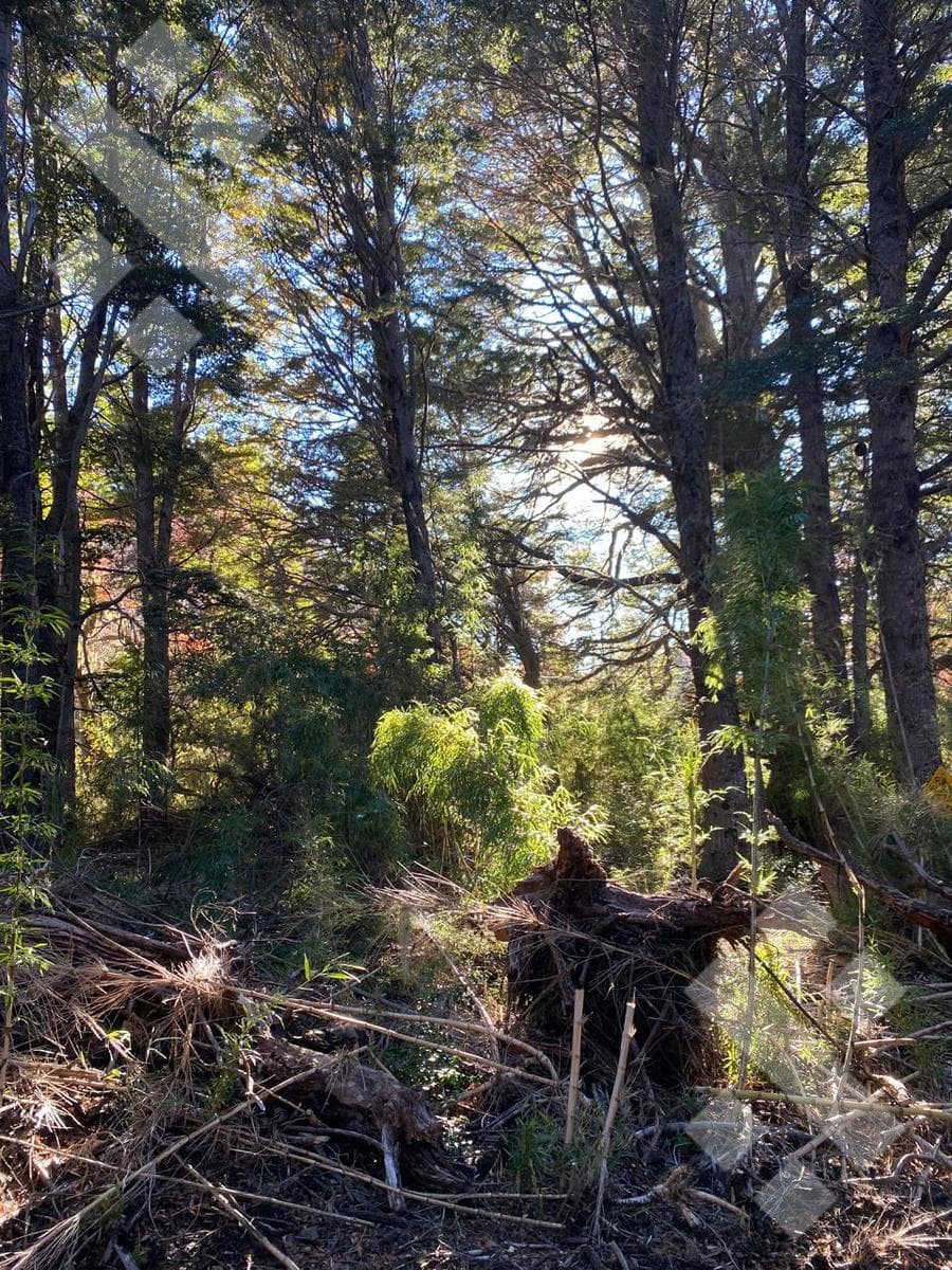 FOR SALE: 600 m² Lot in Kaleuche
