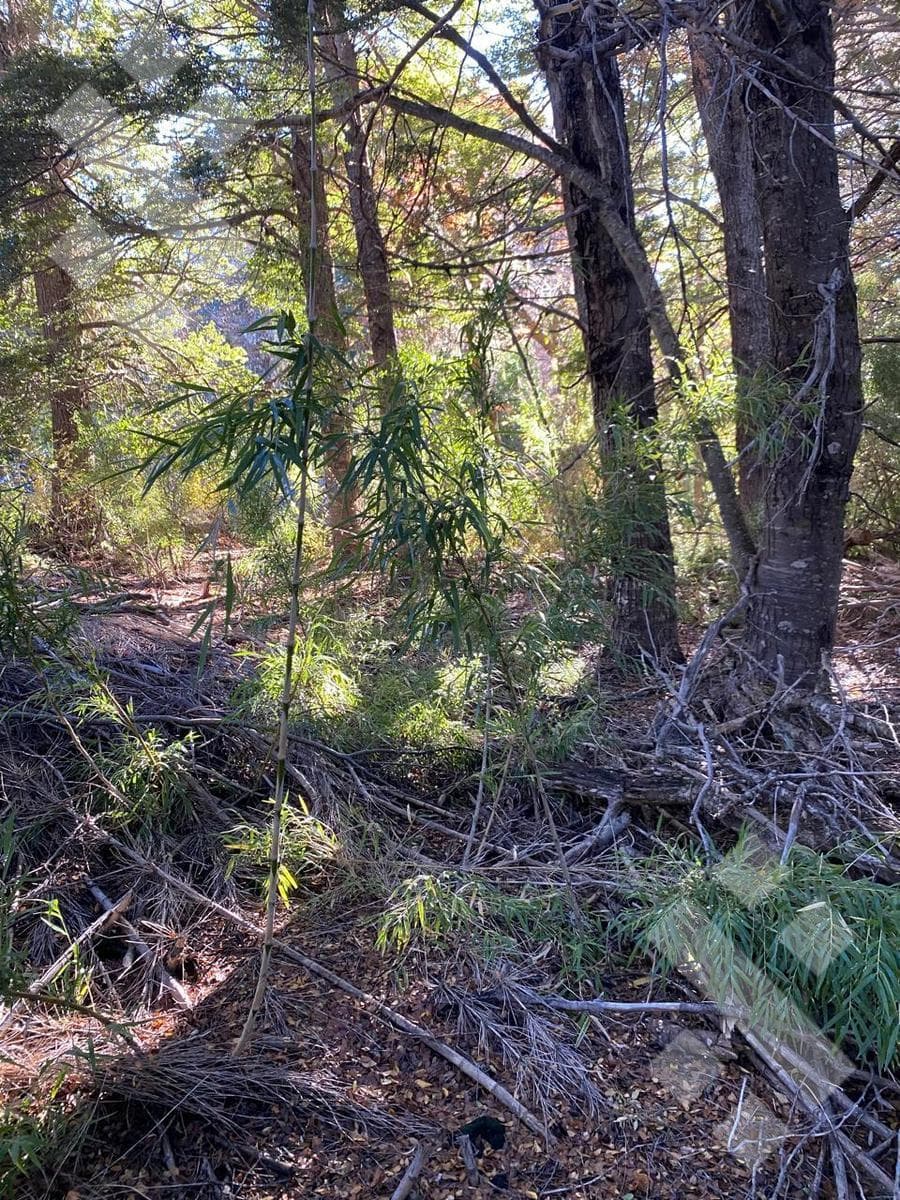 FOR SALE: 600 m² Lot in Kaleuche