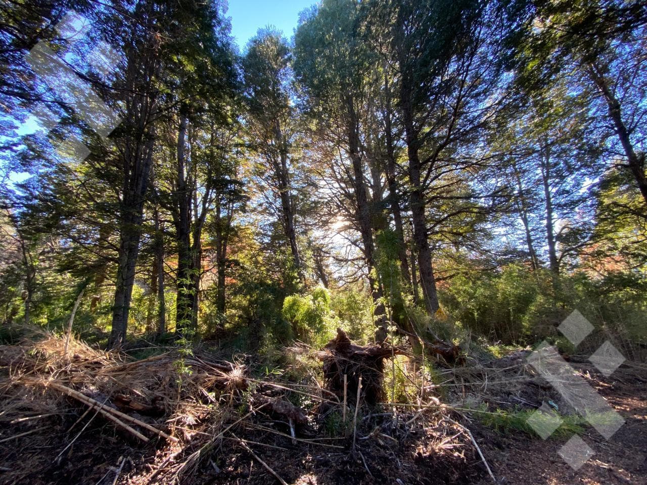 FOR SALE: 600 m² Lot in Kaleuche