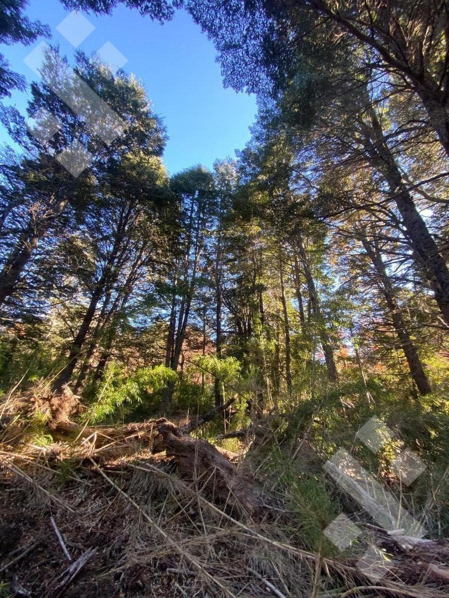 FOR SALE: 600 m² Lot in Kaleuche