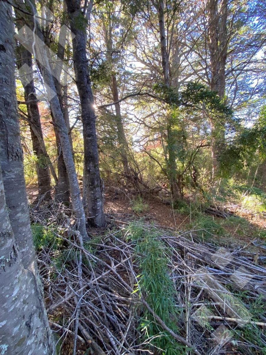 FOR SALE: 600 m² Lot in Kaleuche