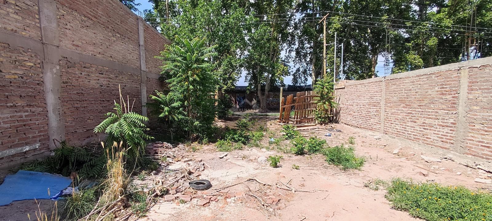 Lot on Pascual Segura Street