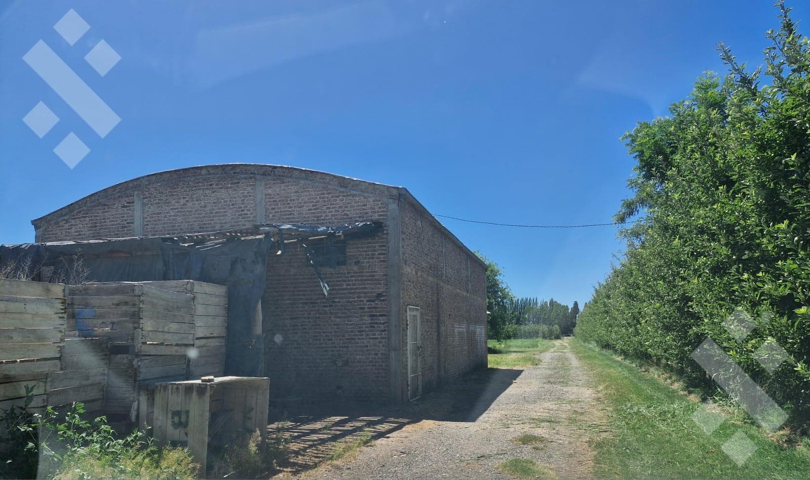 Farm for Rent with Shed - Julio Salto Street - Across from La Nonina, Cipolletti -