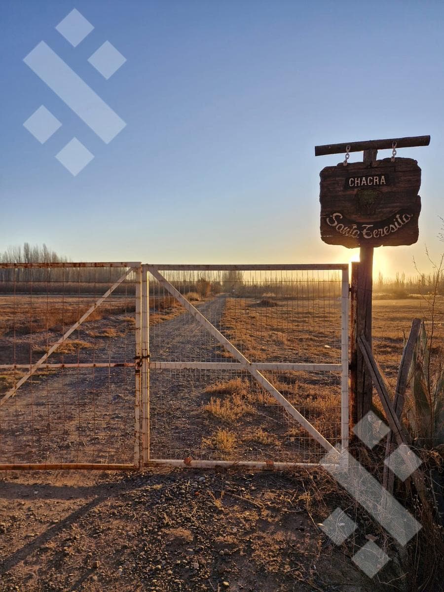 Farm for Rent with Shed - Julio Salto Street - Across from La Nonina, Cipolletti -