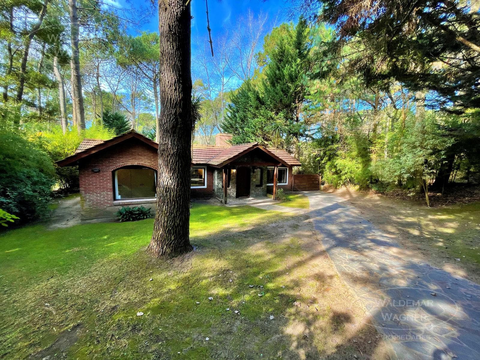 Ground-Floor Villa with a Huge Garden Overlooking the Forest - Carilo