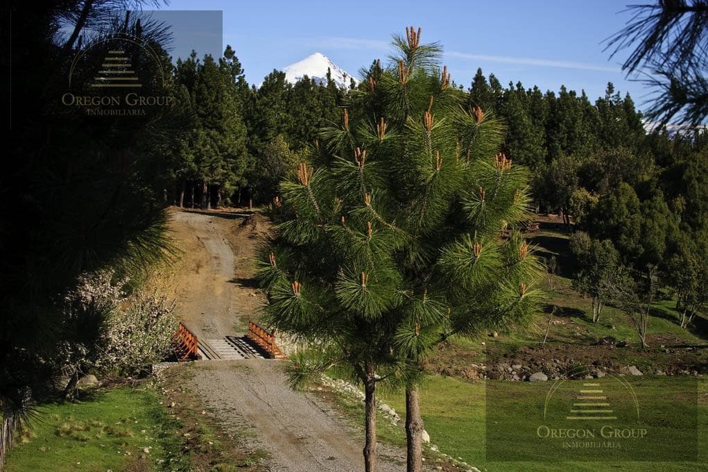 Land in Junín de los Andes