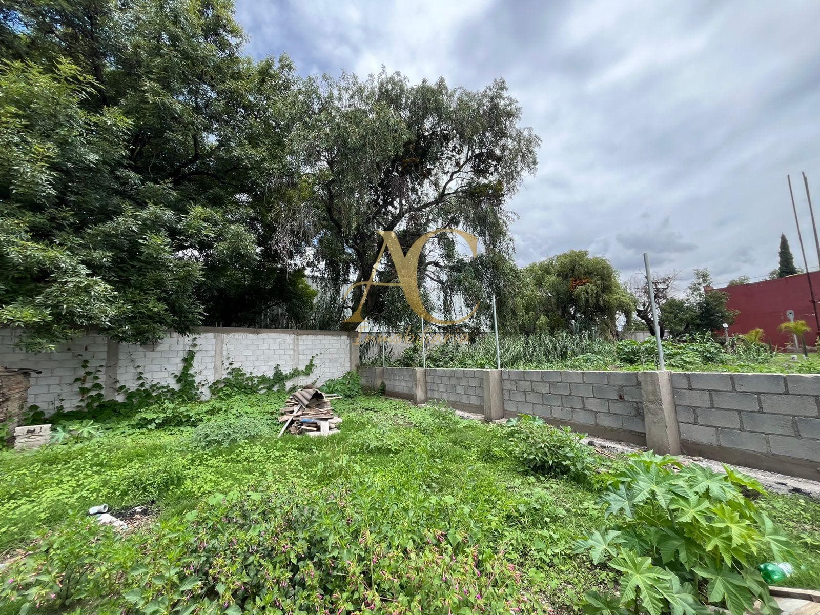 Land in Pueblo Chipilo, owned by Francisco Javier Mina
