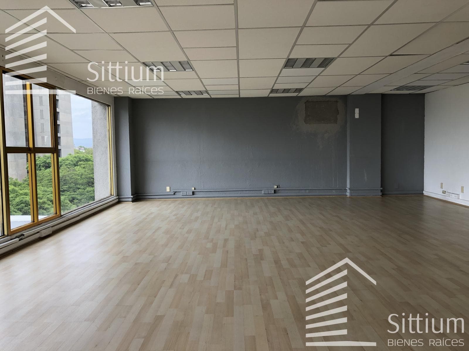 Office for Rent - Insurgentes Sur, 2nd Floor - 365 m2