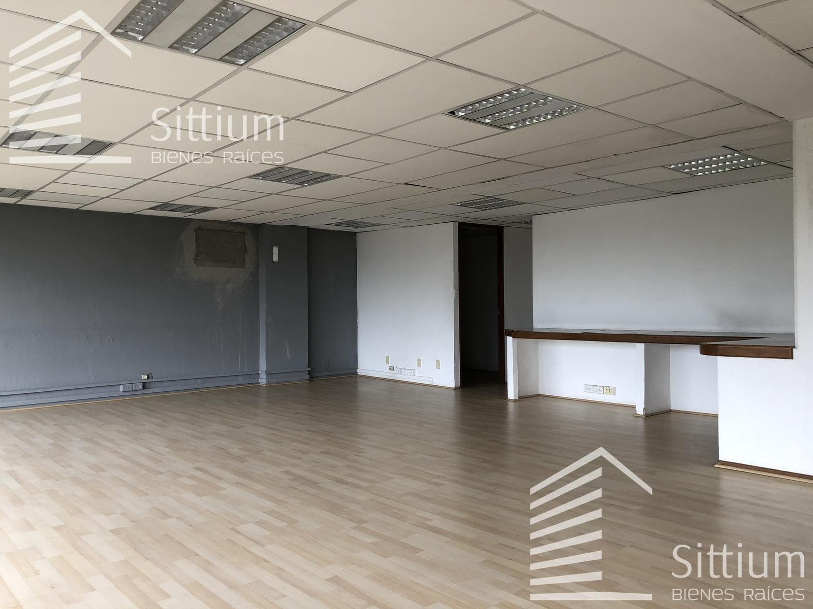 Office for Rent - Insurgentes Sur, 2nd Floor - 365 m2