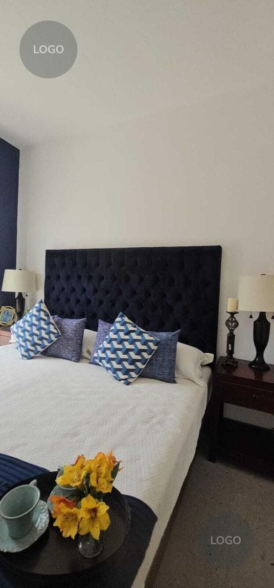 SAN MIGUEL DE ALLENDE RESIDENTIAL APARTMENT