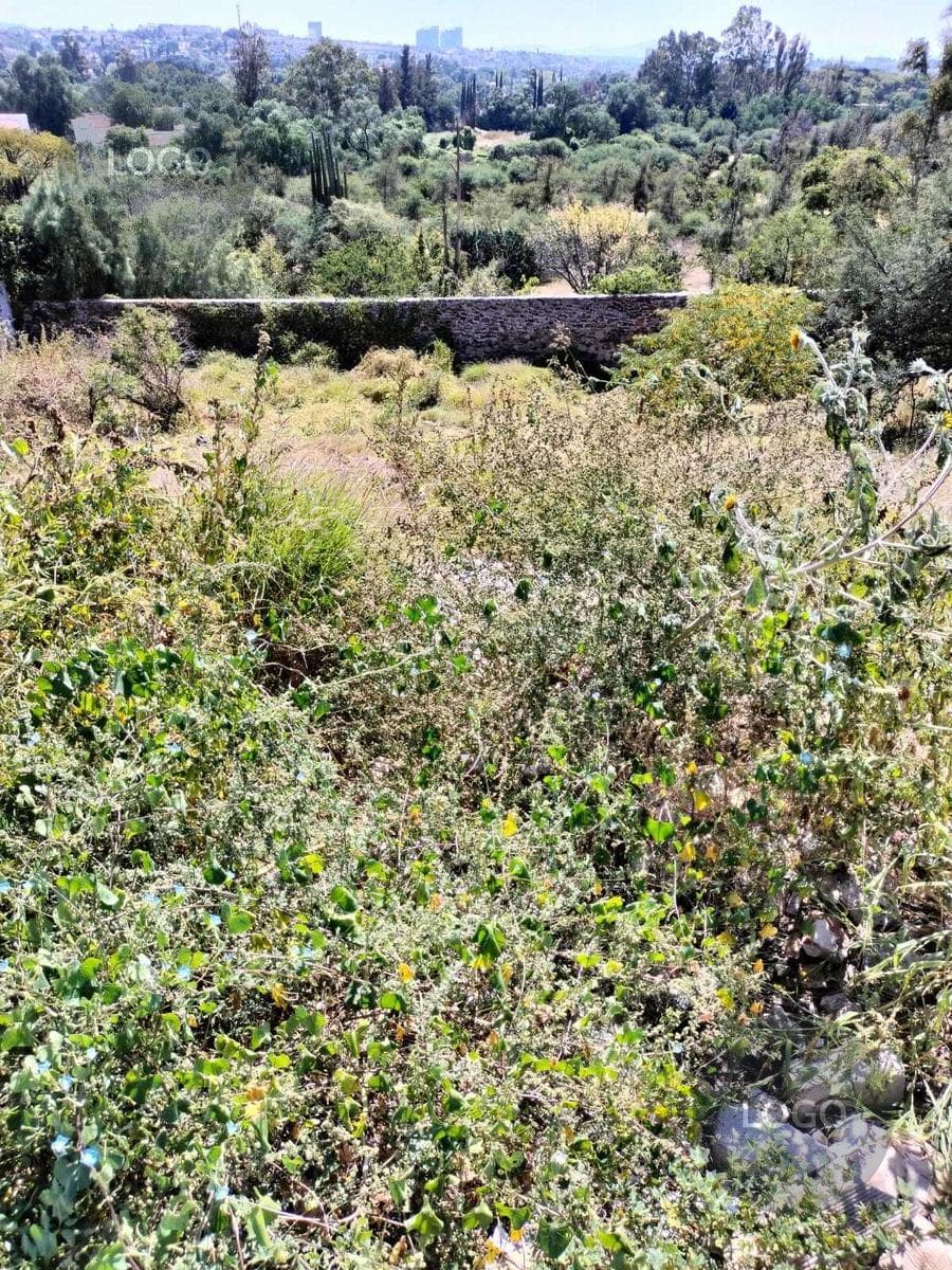 ACEQUIA BLANCA JURIQUILLA PROPERTY