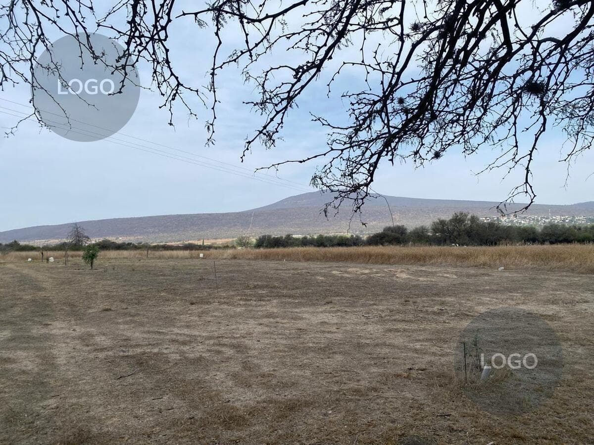 Land for Sale on Camino al Milagro in Huimilpan, Querétaro—Ideal Investment!