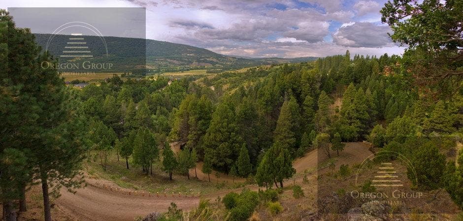 Land in La Jauría