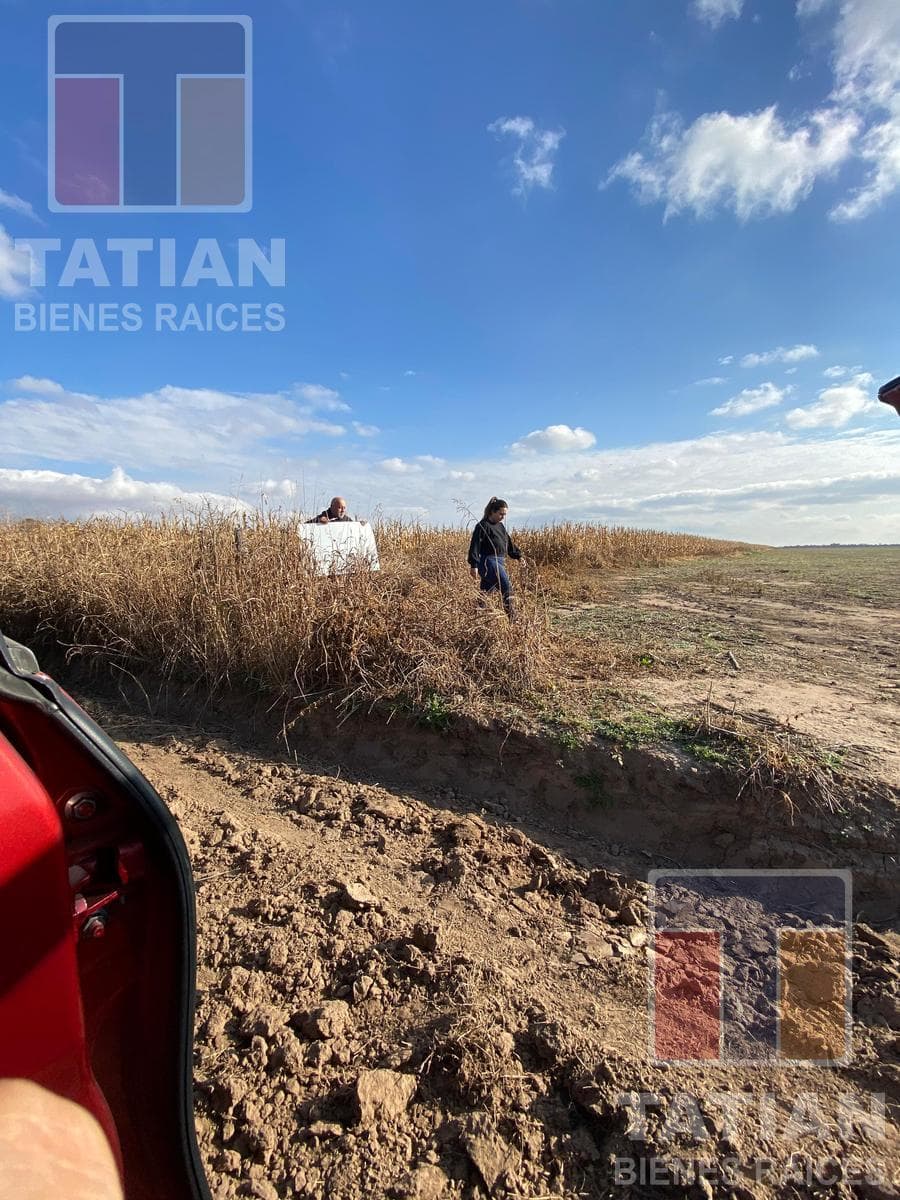A 50-hectare farm located in the rural area of Costa Sacate, Córdoba.