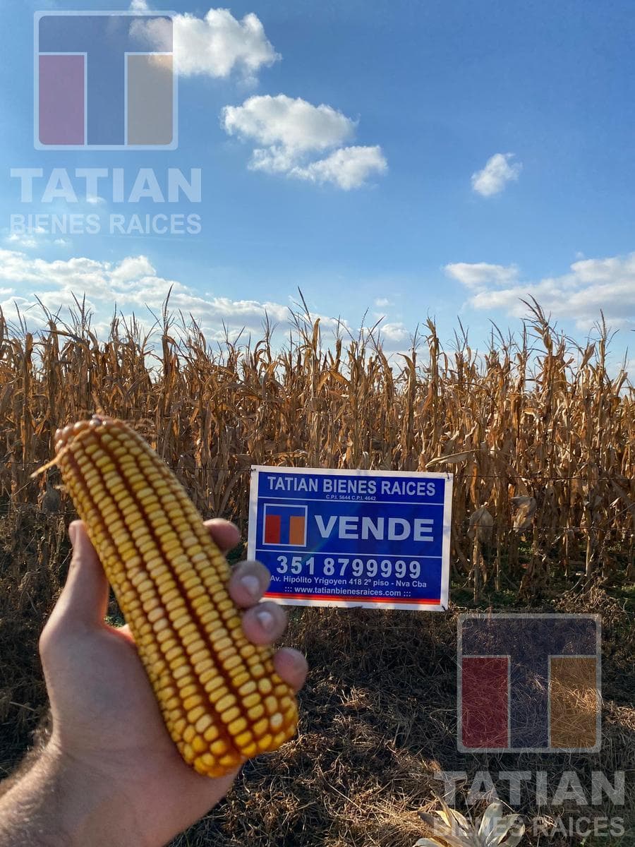 A 50-hectare farm located in the rural area of Costa Sacate, Córdoba.