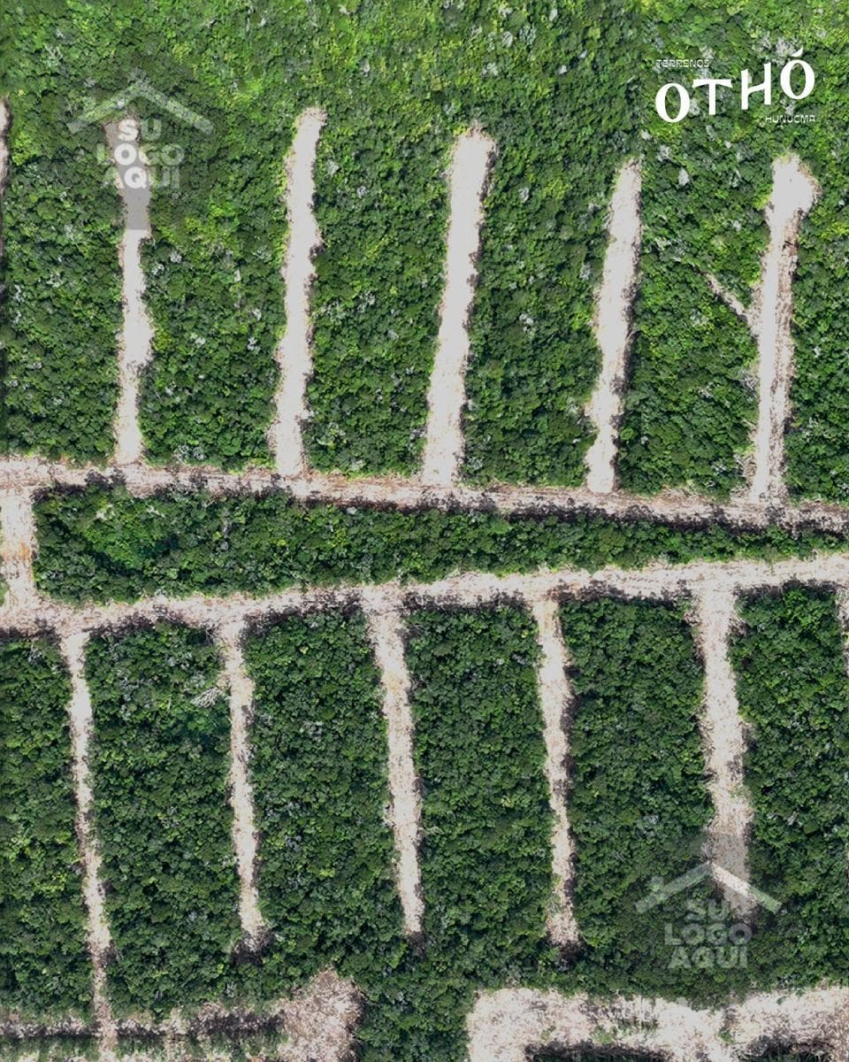 Investment Lands in Merida, Yucatan