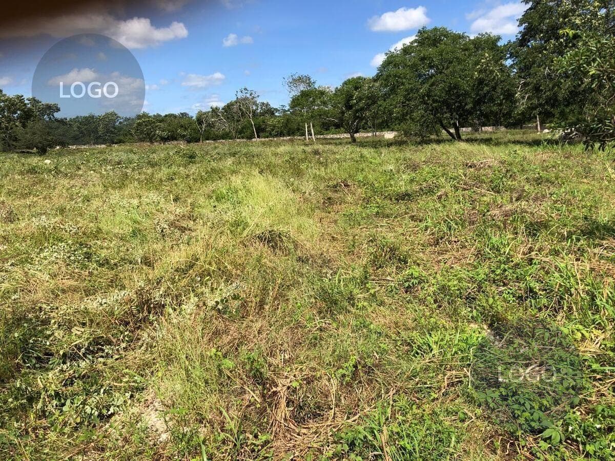 LAND FOR SALE IN MÉRIDA IN THE KOMCHEN POLICE PRECINCT