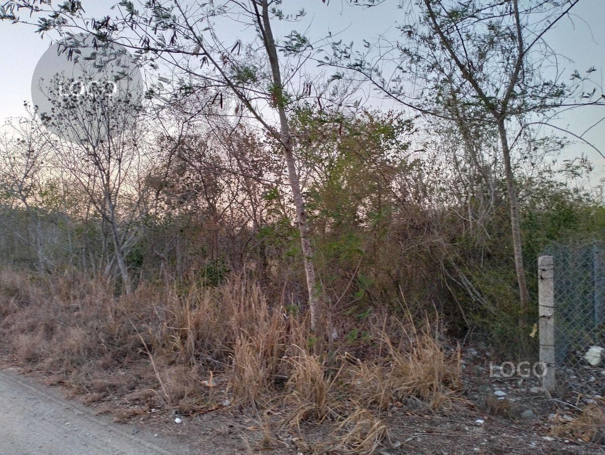 LAND FOR SALE IN NORTH MERIDA, COUNTRY AREA
