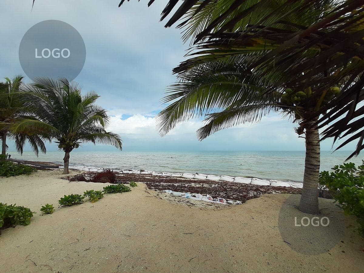 BEACHFRONT LOT FOR SALE IN SAN BENITO, YUCATÁN