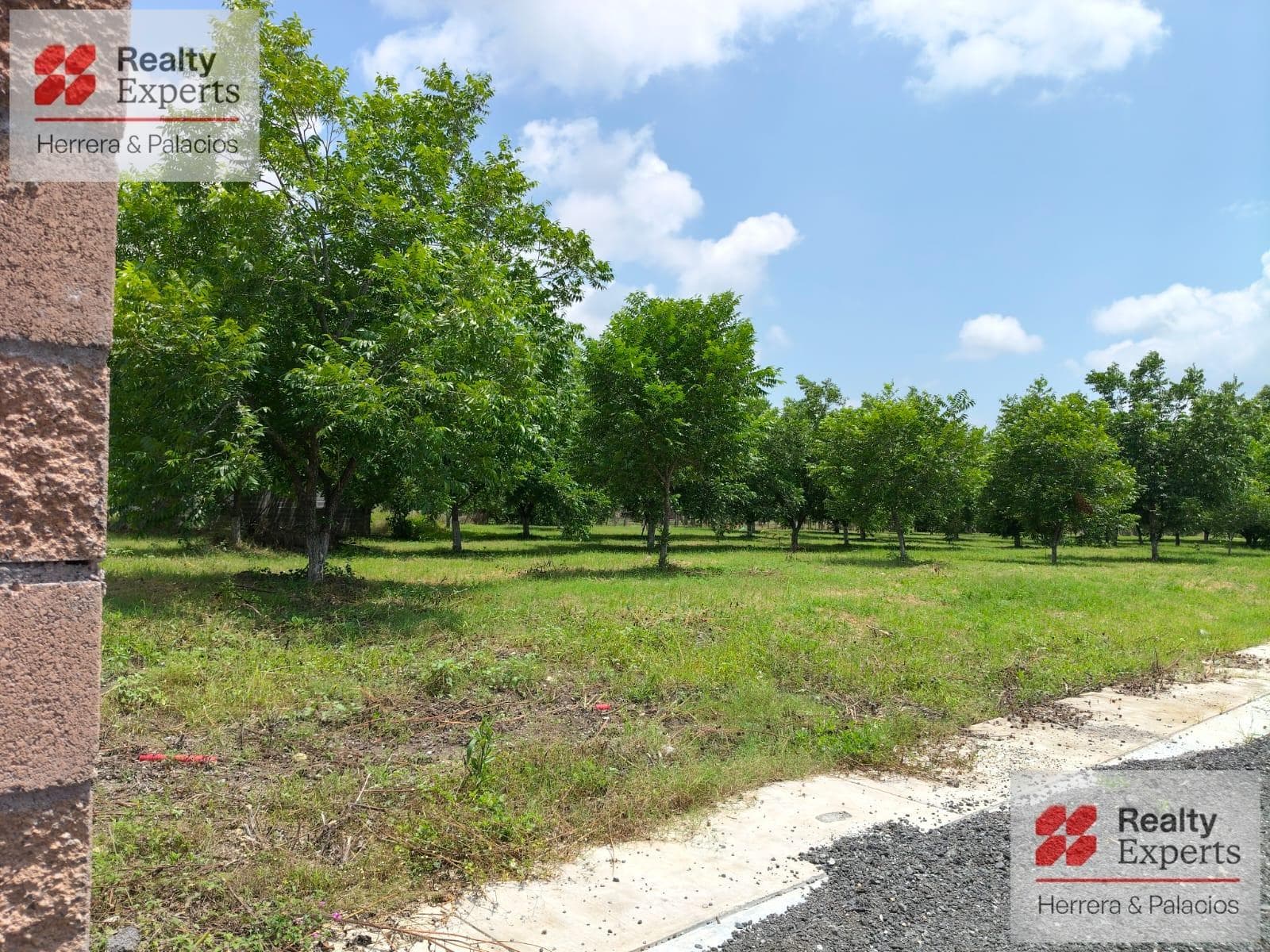 Rural Land for Sale in Montemorelos, Rayones, NL