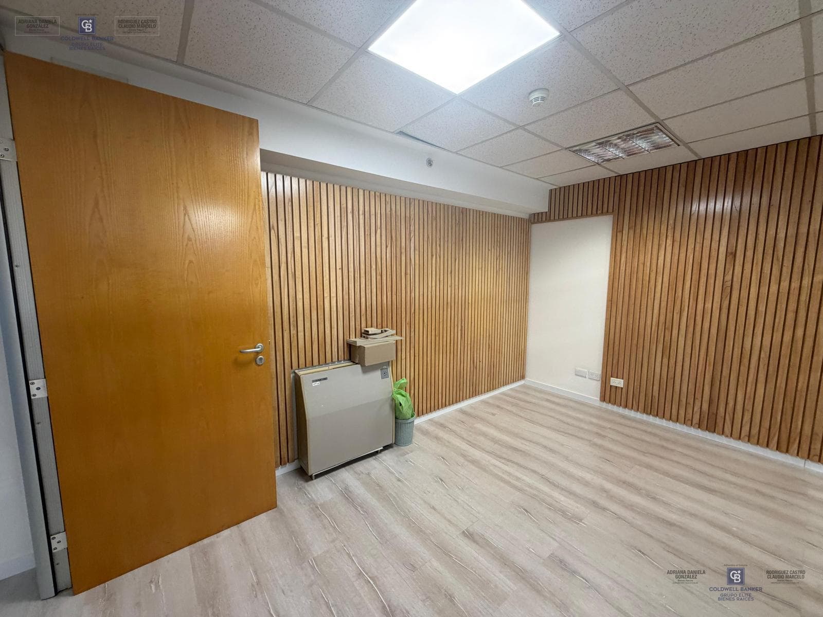 Residential and Office Rentals in Buenos Aires, Plaza Puerto Madero