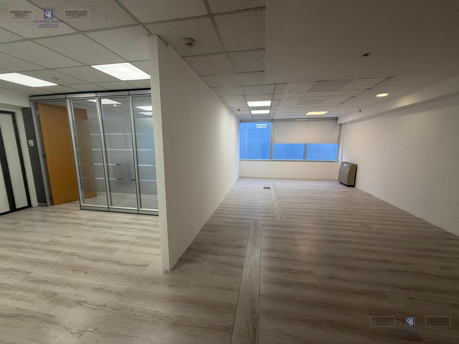 Residential and Office Rentals in Buenos Aires, Plaza Puerto Madero