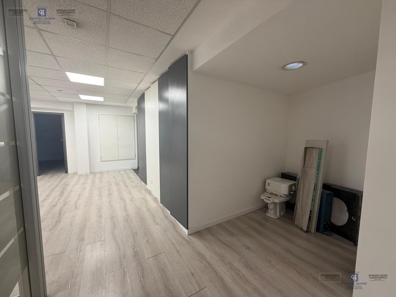 Residential and Office Rentals in Buenos Aires, Plaza Puerto Madero