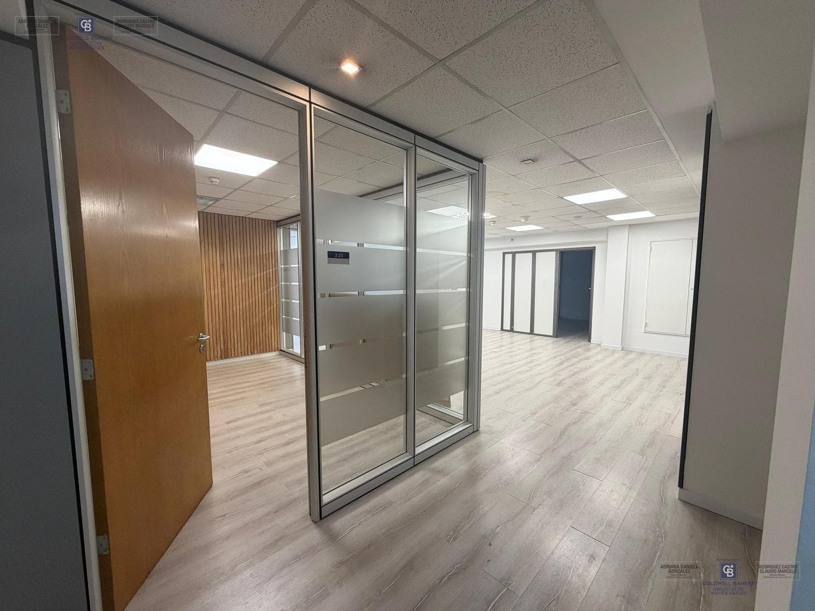 Residential and Office Rentals in Buenos Aires, Plaza Puerto Madero
