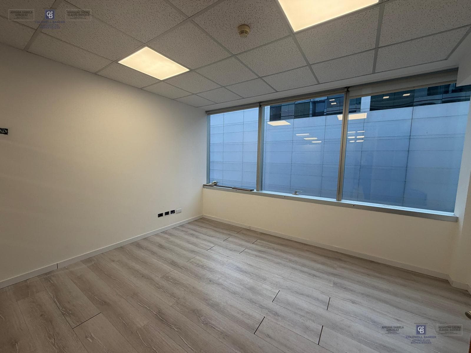 Residential and Office Rentals in Buenos Aires, Plaza Puerto Madero