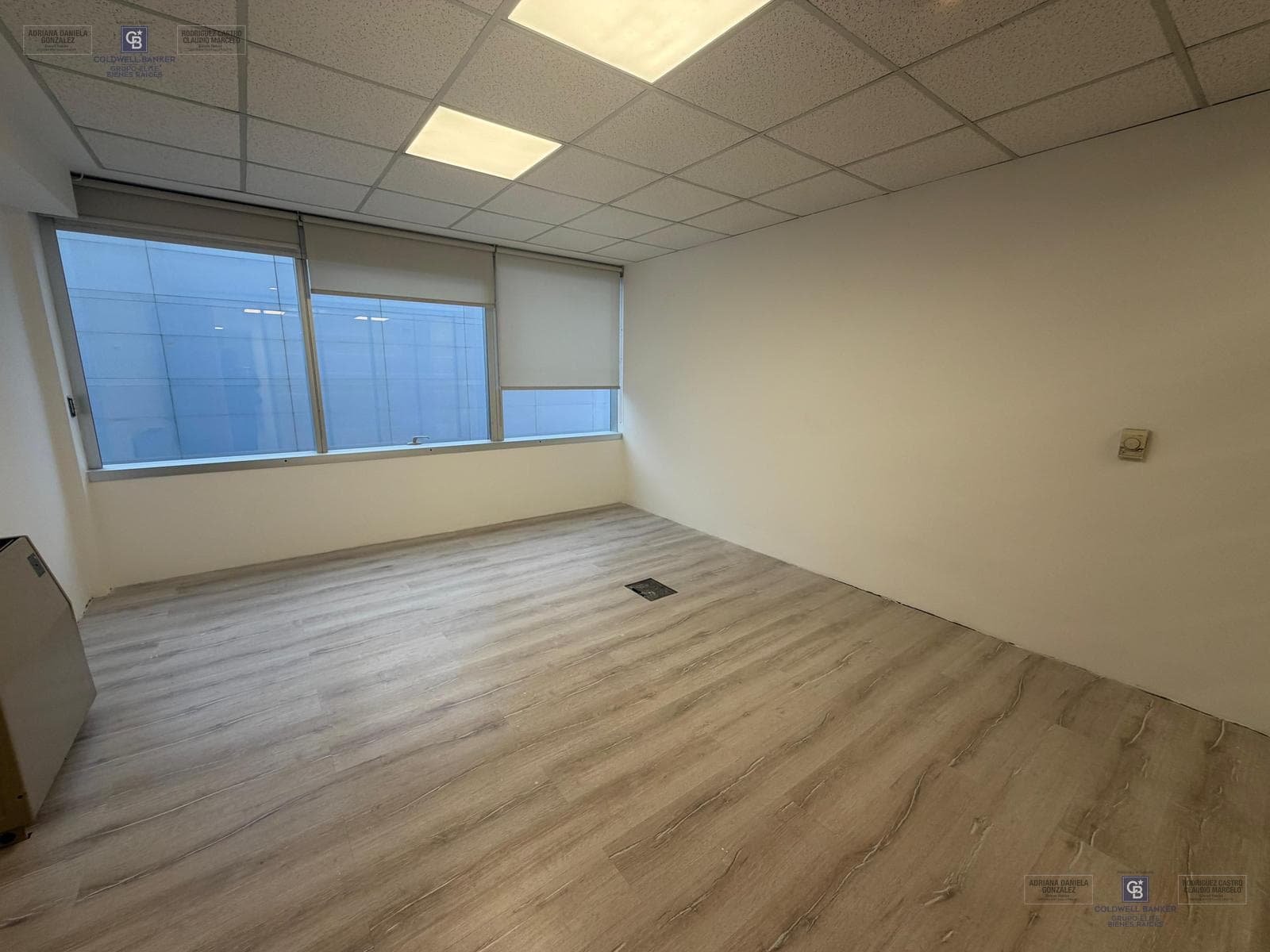 Residential and Office Rentals in Buenos Aires, Plaza Puerto Madero