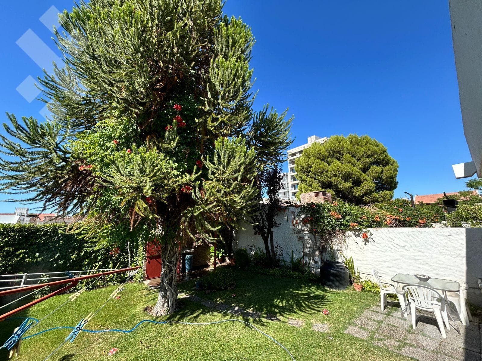 House in Neuquen