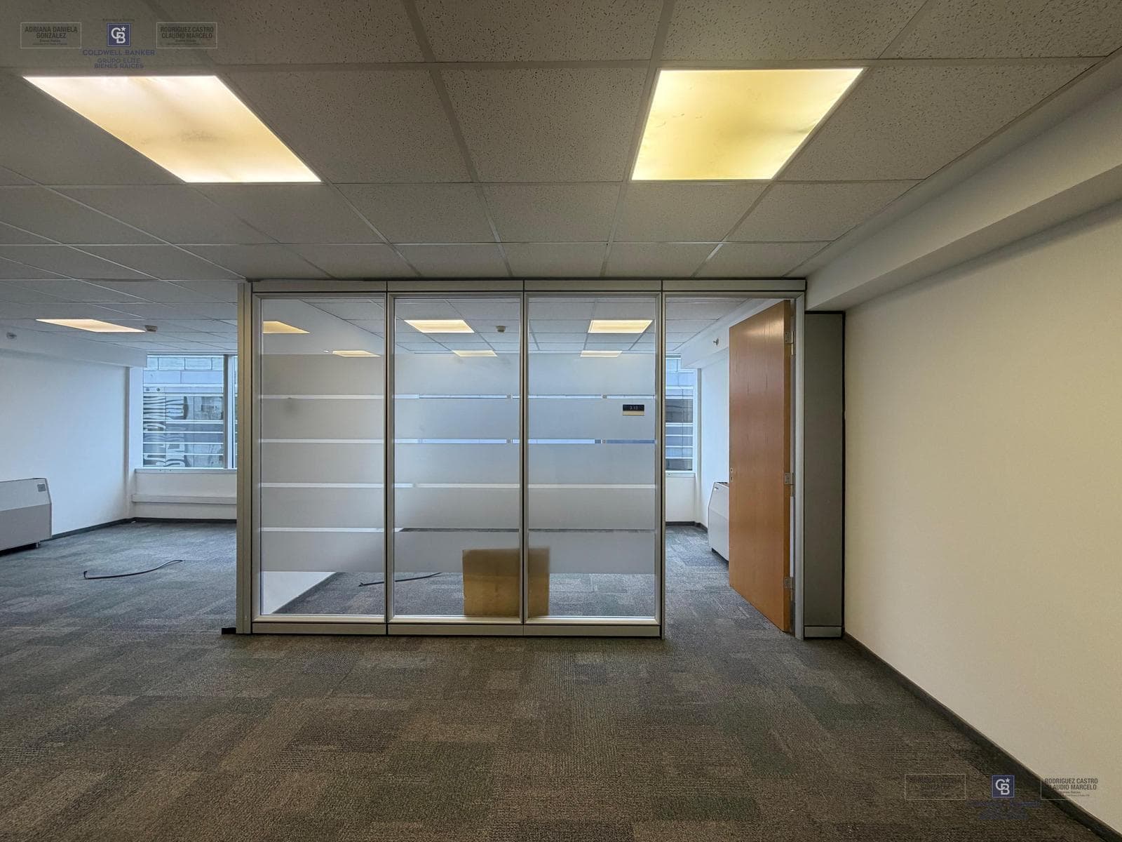 Residential and Office Rentals in Buenos Aires Plaza Puerto Madero