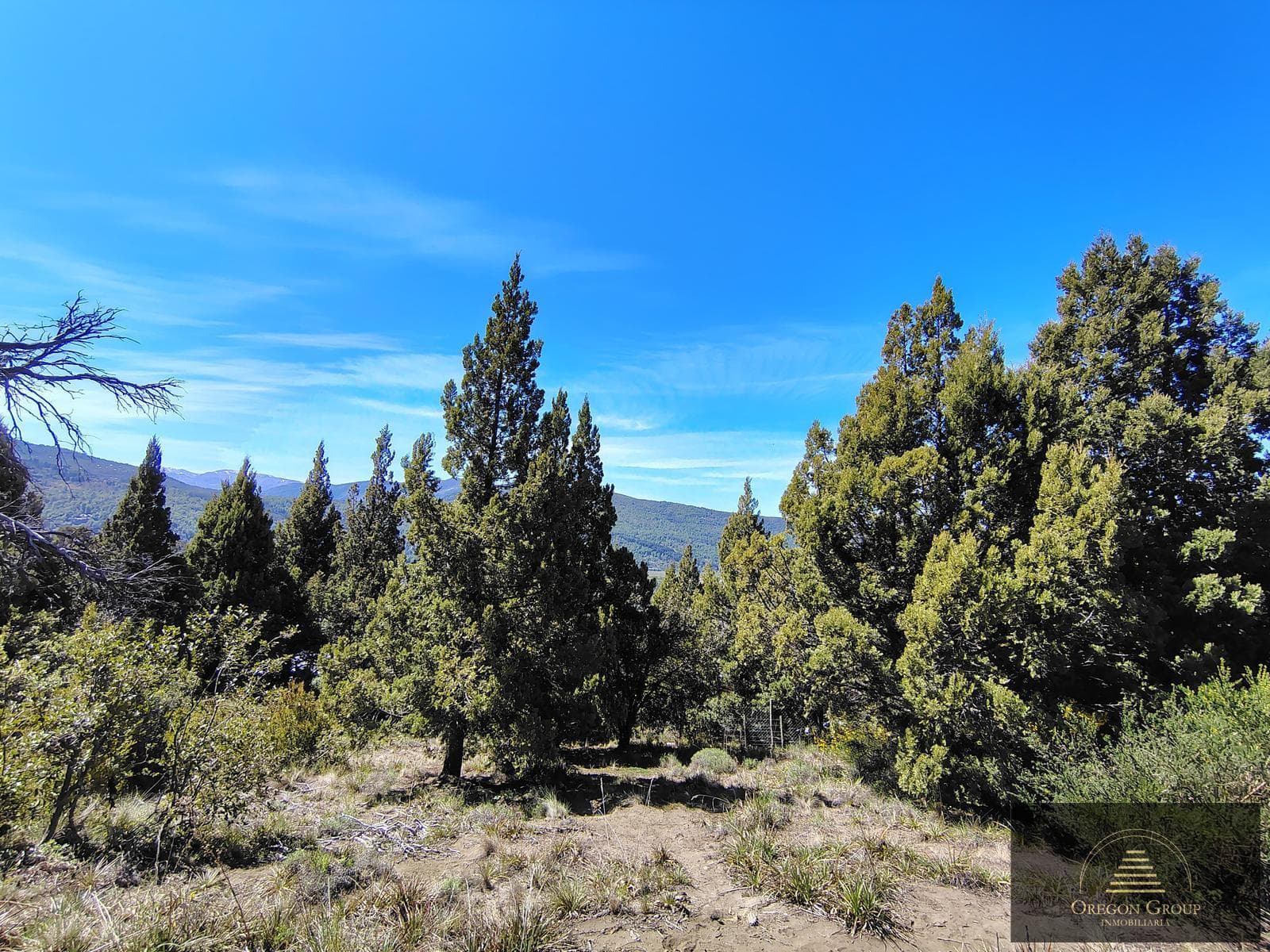 Lot for Sale in Los Riscos