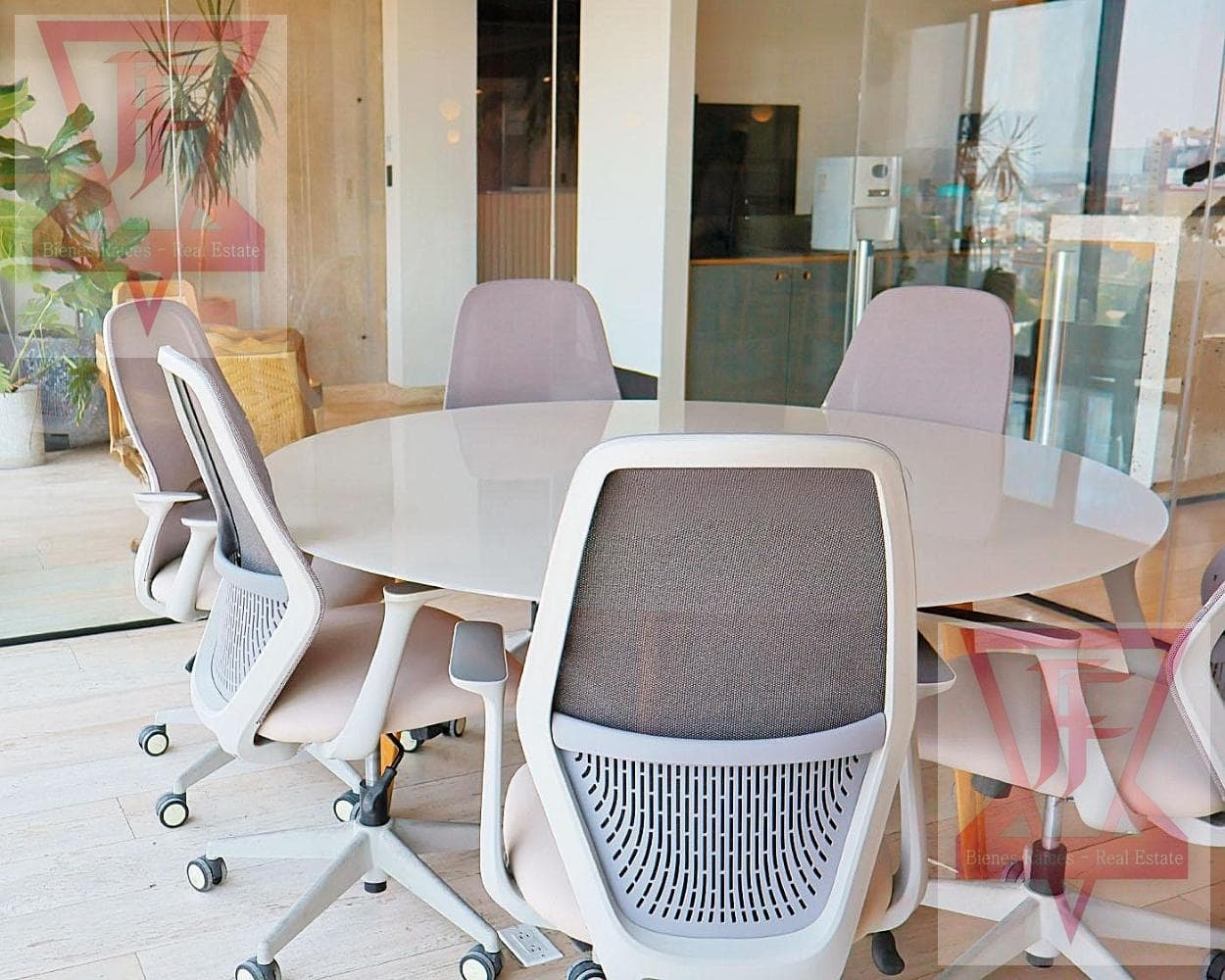Office for Rent on Verónica Anzures Street, Miguel Hidalgo, Mexico City—Accommodates 24 People or More!