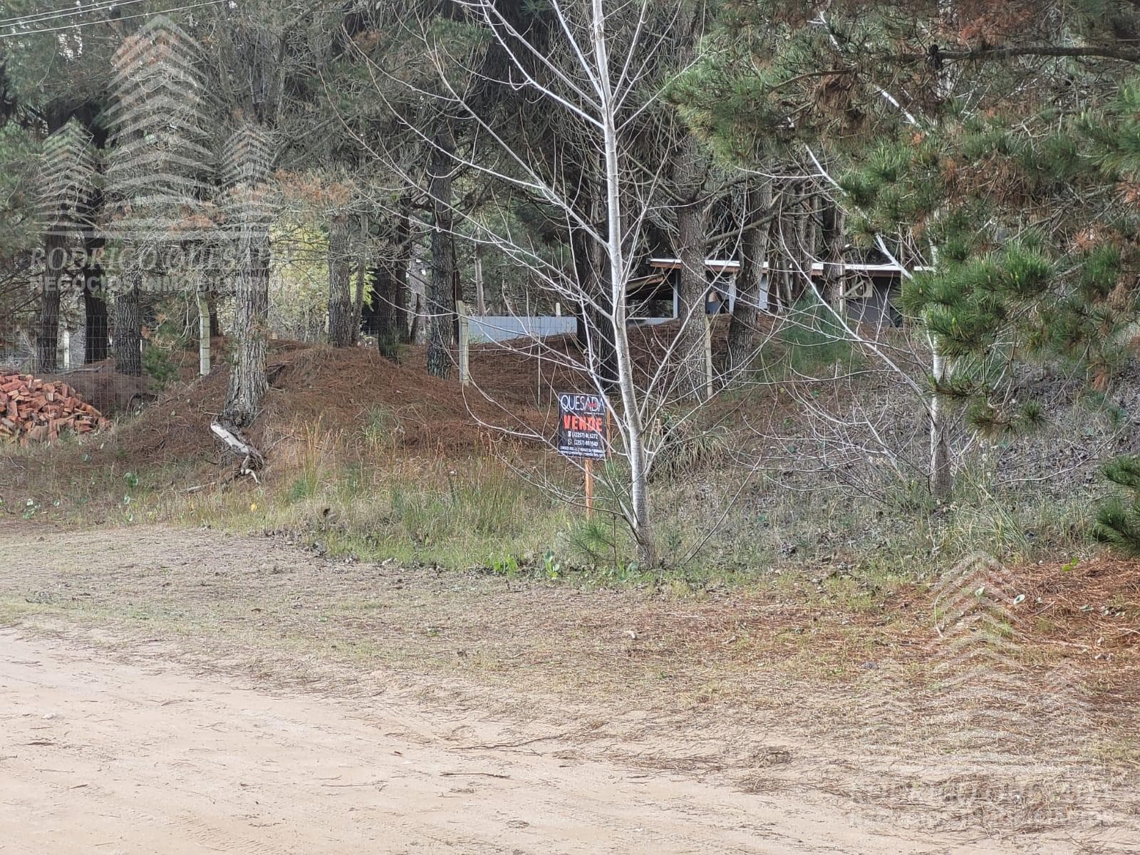 Spacious lot on Calle 20, near Obligado.