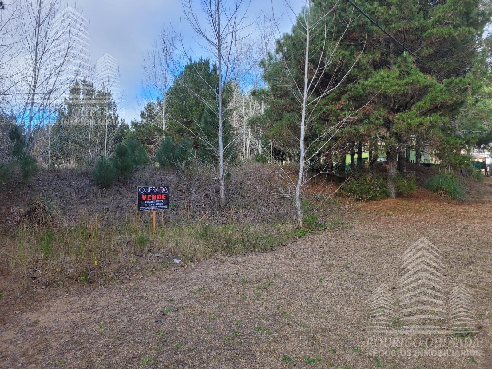 Spacious lot on Calle 20, near Obligado.