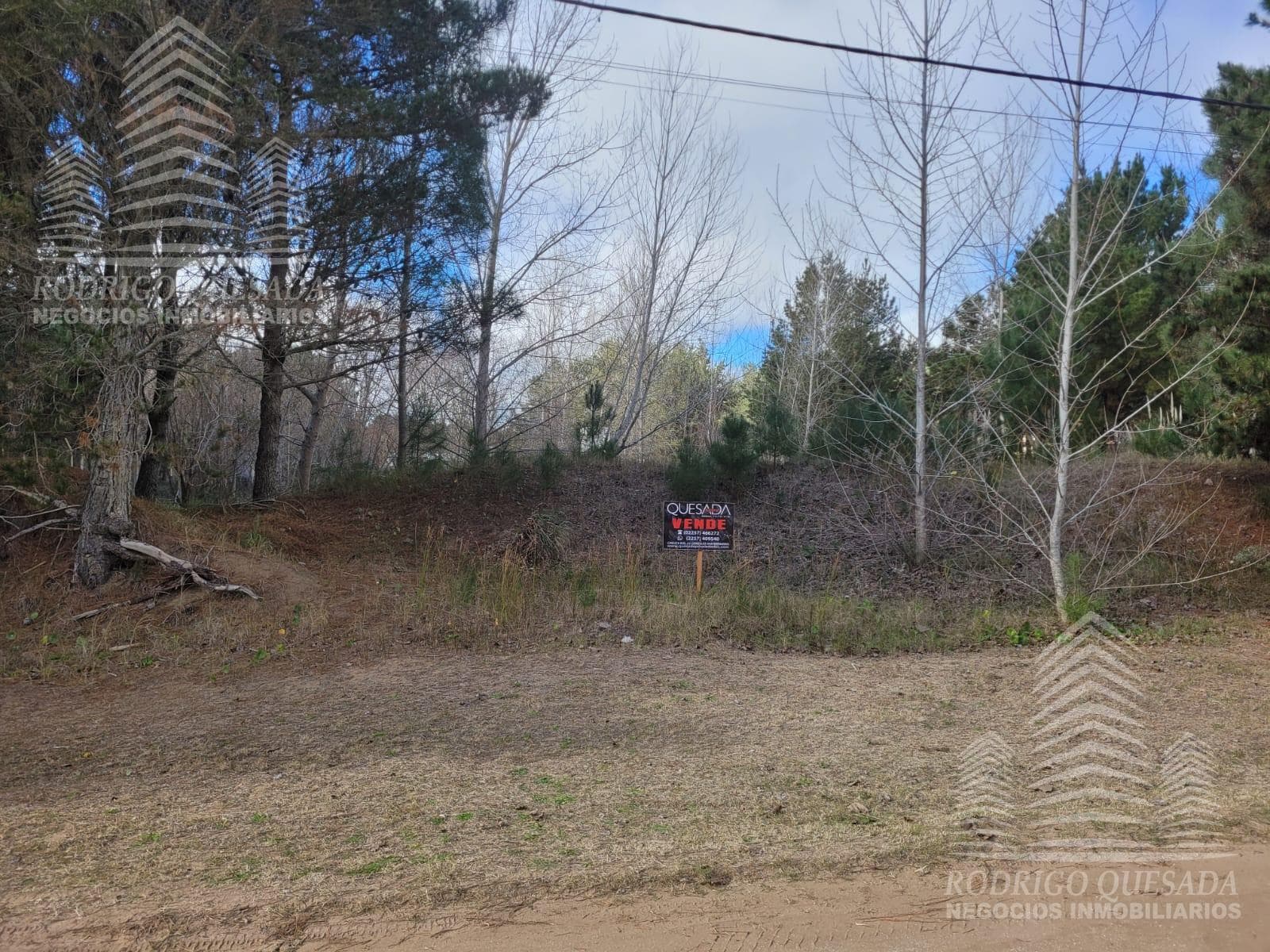 Spacious lot on Calle 20, near Obligado.