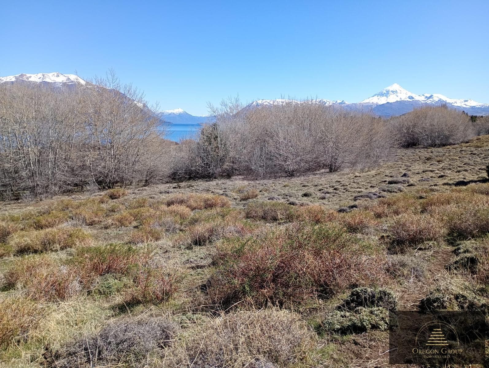 Land in Huechulafquen