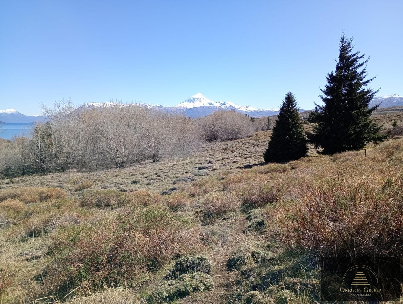Land in Huechulafquen