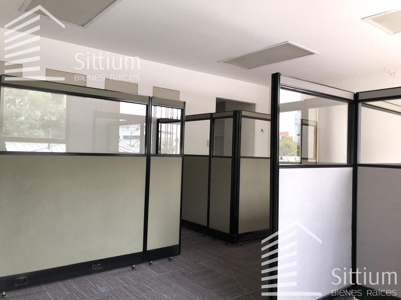 Office for Rent - Insurgentes Sur, 1st Floor - 108 m2