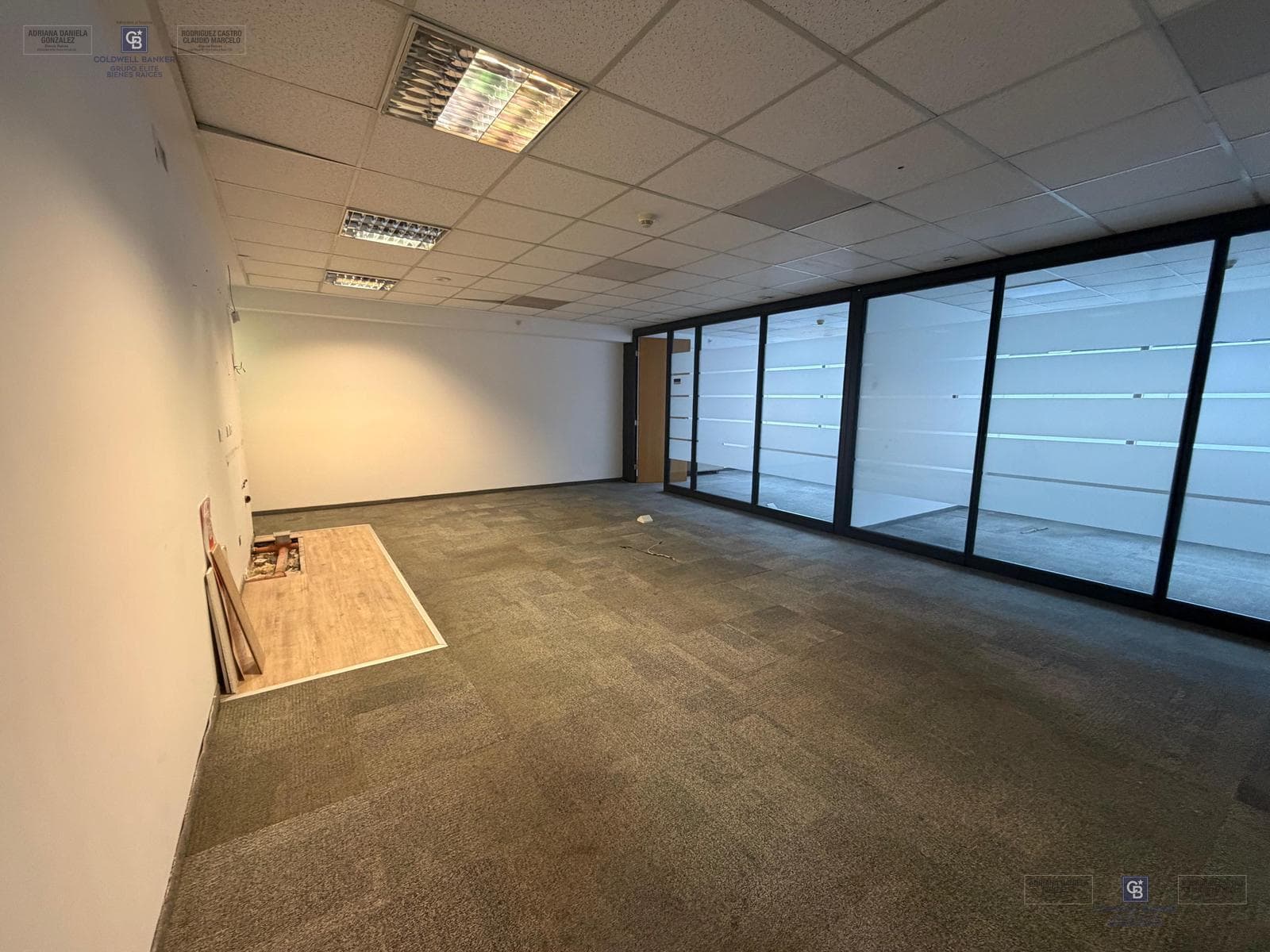 Residential and Office Rentals in Buenos Aires Plaza Puerto Madero