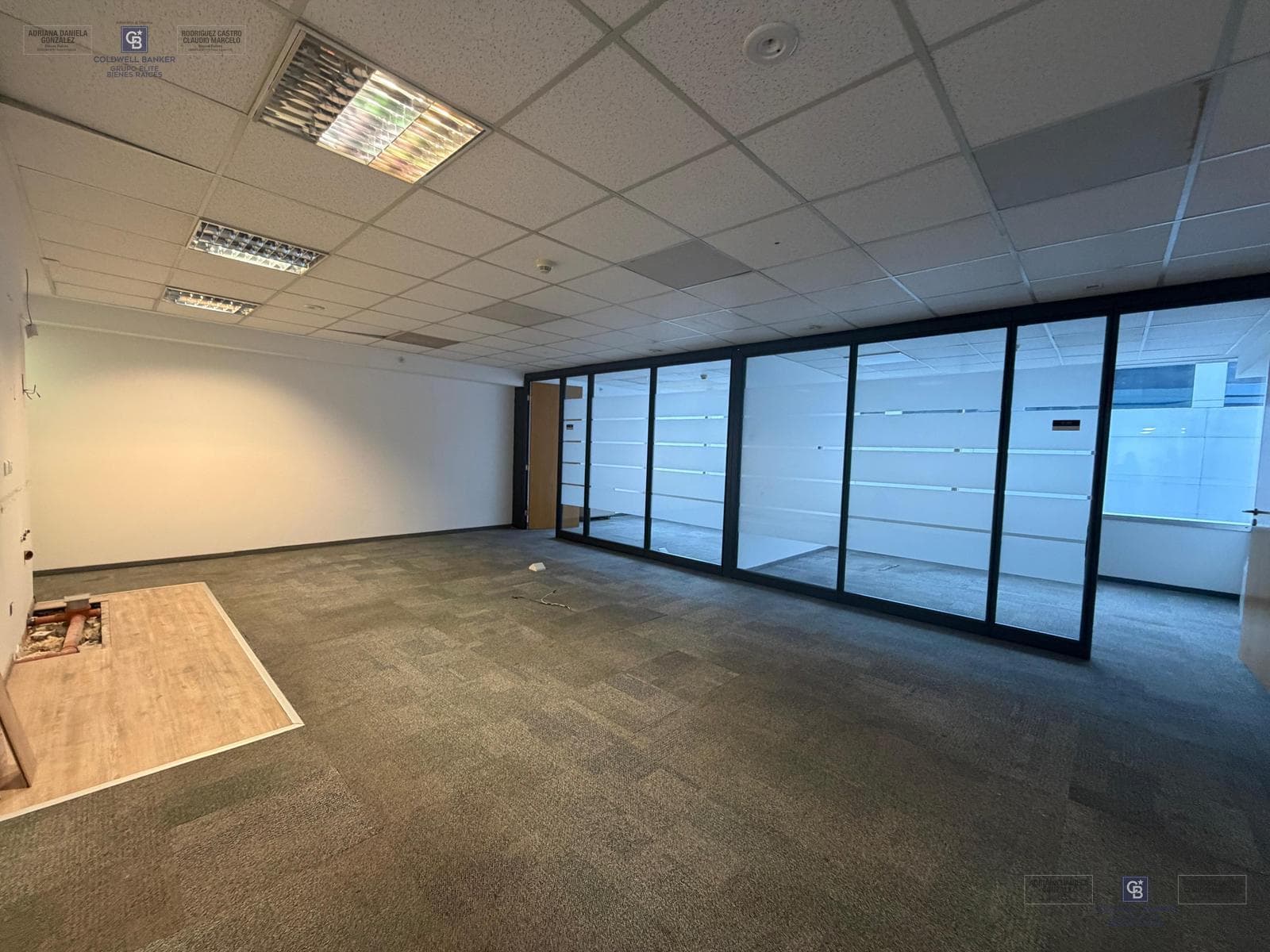 Residential and Office Rentals in Buenos Aires Plaza Puerto Madero