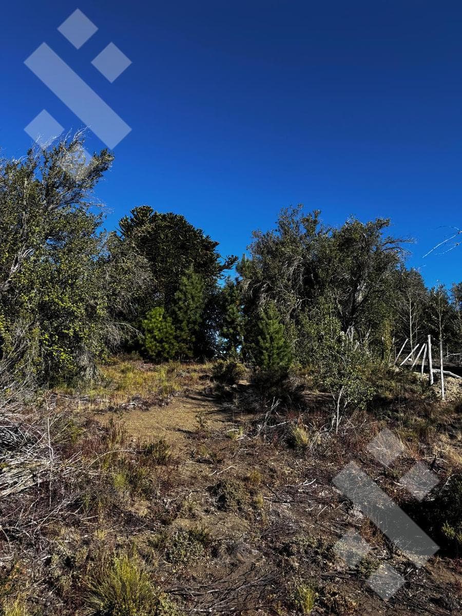 Villa Pehuenia Lot - 951.38 m²